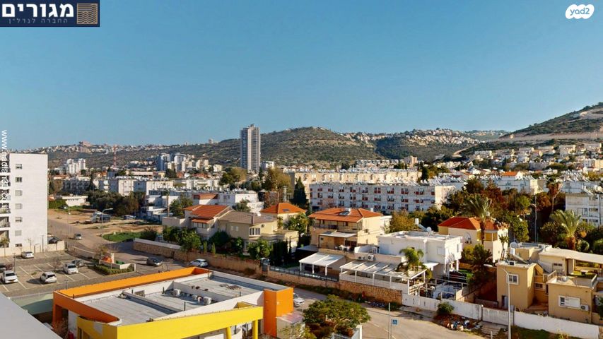 דירה, השחף, החותרים, טירת כרמל