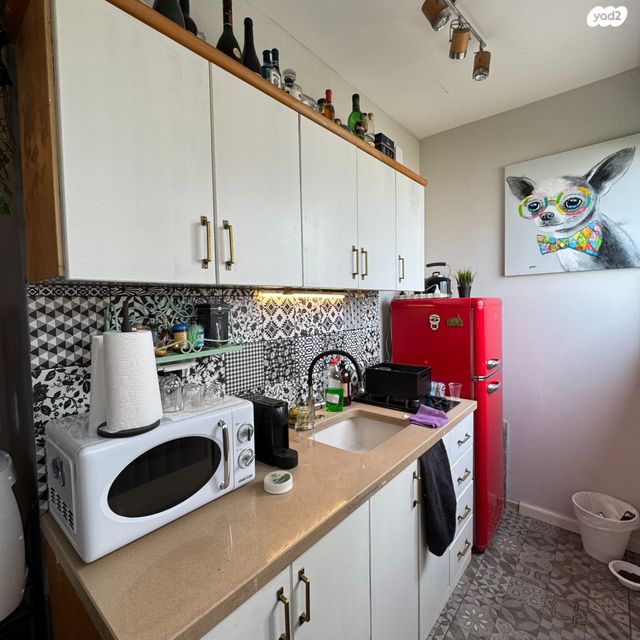 גג/ פנטהאוז, דיזנגוף, תל אביב יפו