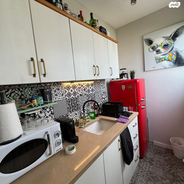 גג/ פנטהאוז, דיזנגוף, תל אביב יפו