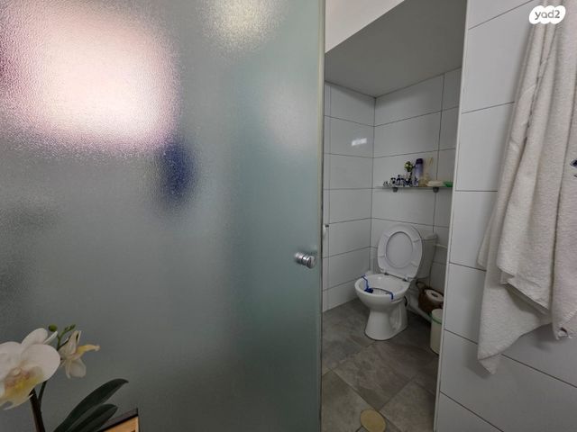 דירה, אורנים, מרכז העיר, עפולה