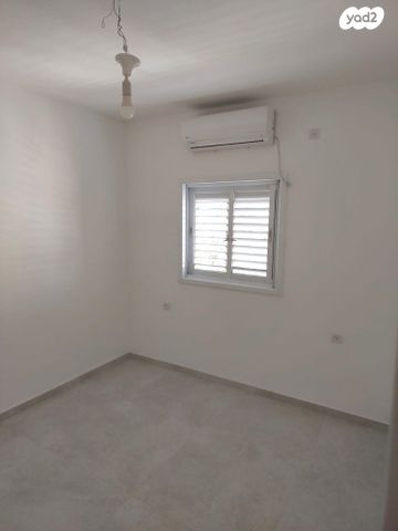 דירה, צבי פרנק, רמב"ם, ראשון לציון