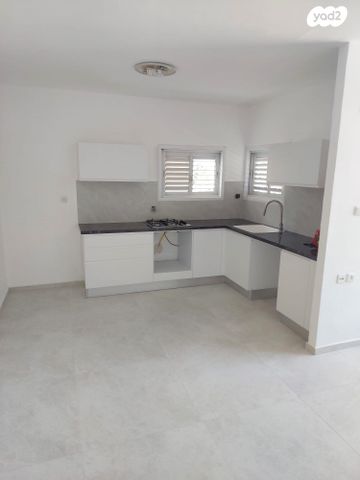 דירה, צבי פרנק, רמב"ם, ראשון לציון