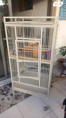 תמונת מודעה - חיות מחמד