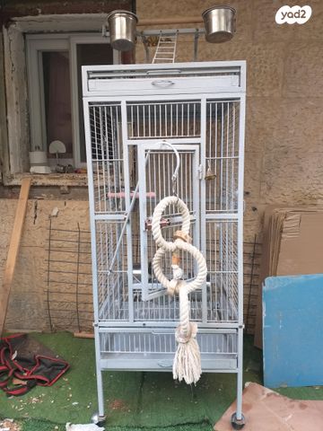 תמונת מודעה - חיות מחמד