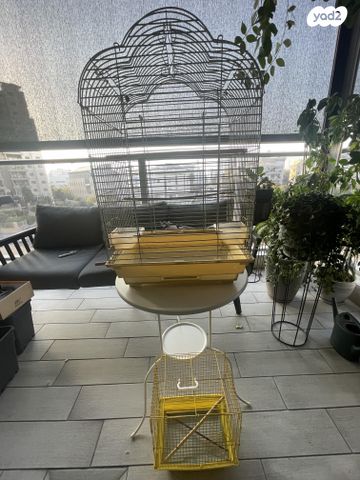 תמונת מודעה - חיות מחמד