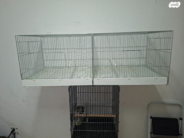 תמונת מודעה - חיות מחמד