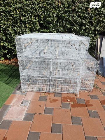 תמונת מודעה - חיות מחמד