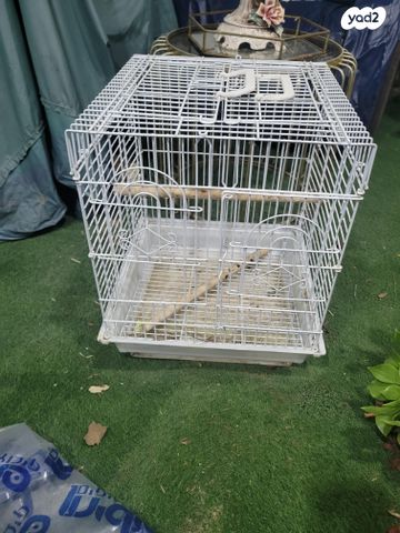 תמונת מודעה - חיות מחמד