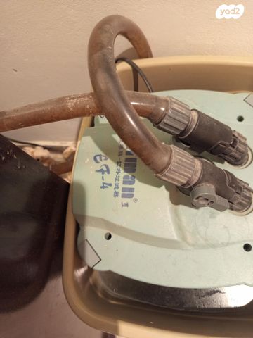 תמונת מודעה - חיות מחמד