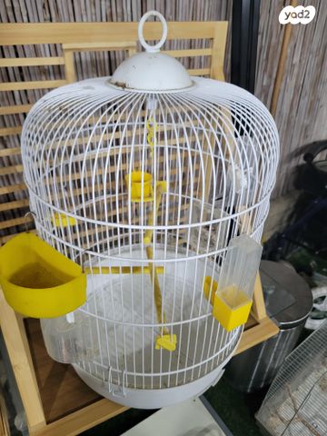 תמונת מודעה - חיות מחמד