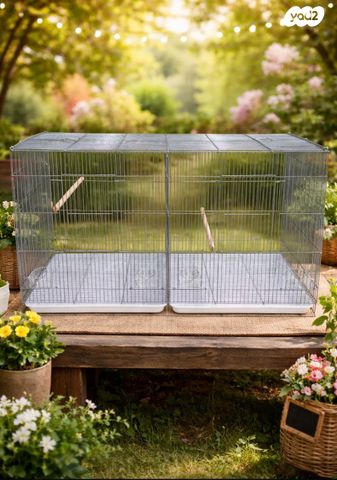 תמונת מודעה - חיות מחמד