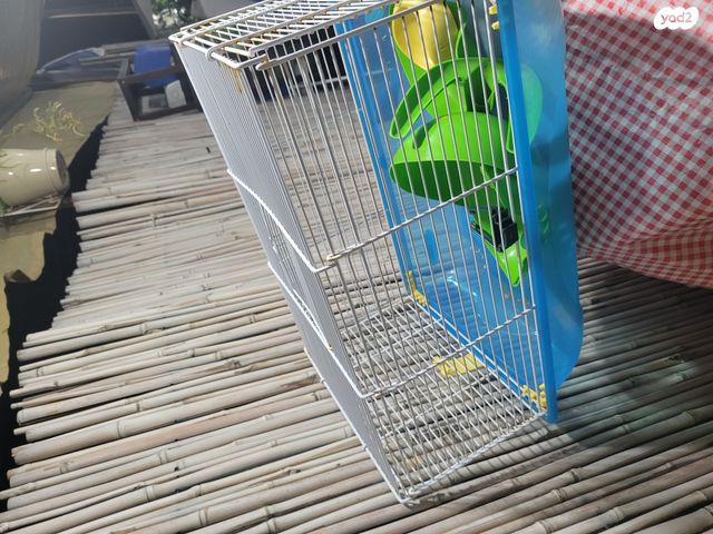 תמונת מודעה - חיות מחמד