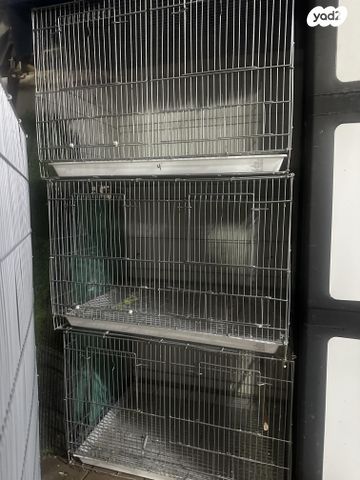 תמונת מודעה - חיות מחמד