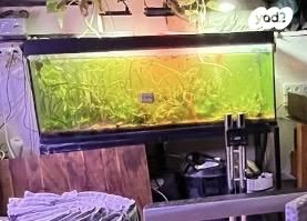 אביזרים | אקווריום