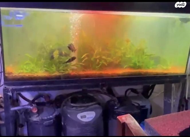 אביזרים | אקווריום