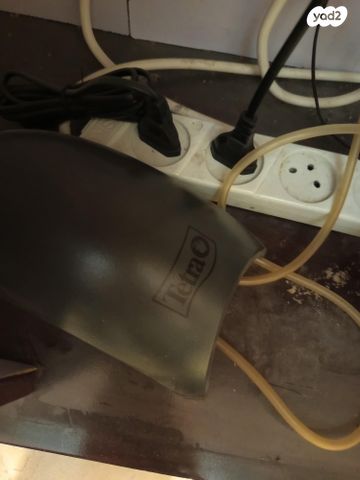 דג דגי מים קרים