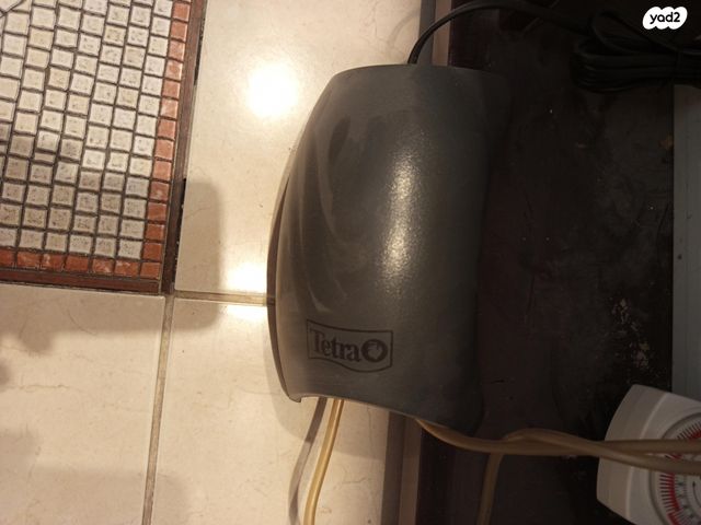 דג דגי מים קרים