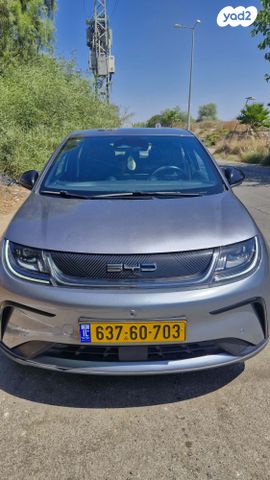 בי.ווי.די דולפין