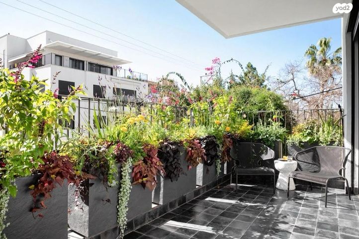 דירה, קהילת יאסי 13, הדר יוסף, תל אביב יפו