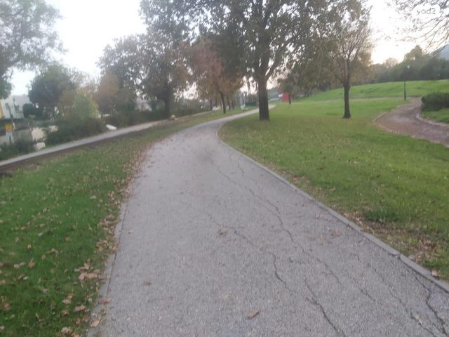 מעלה אבשלום 44