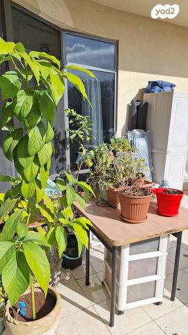 יחידת דיור, הגפן 135, בית גמליאל, בית גמליאל