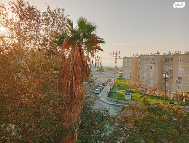 ח.מ. שפירא 19