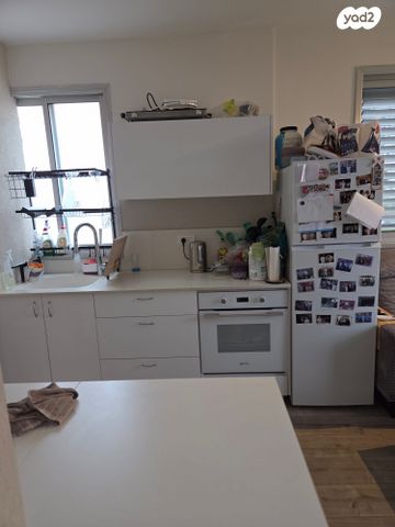 ארזי הלבנון 19