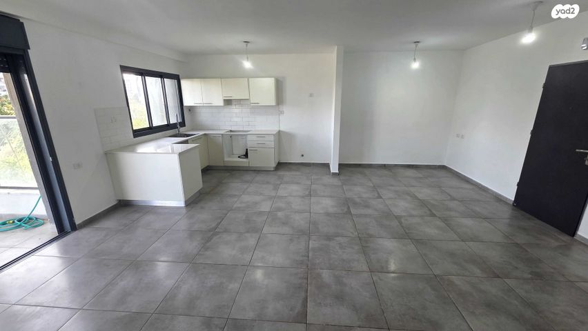 פרופ' דניאל כהנמן 