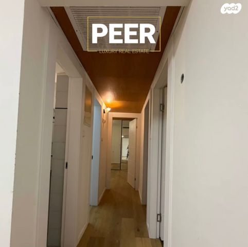 דירה, ישראל גלילי, כוכב הצפון, תל אביב יפו