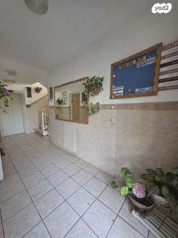 דירה, חטיבת עציוני, רמת רבין מערב, כרמיאל