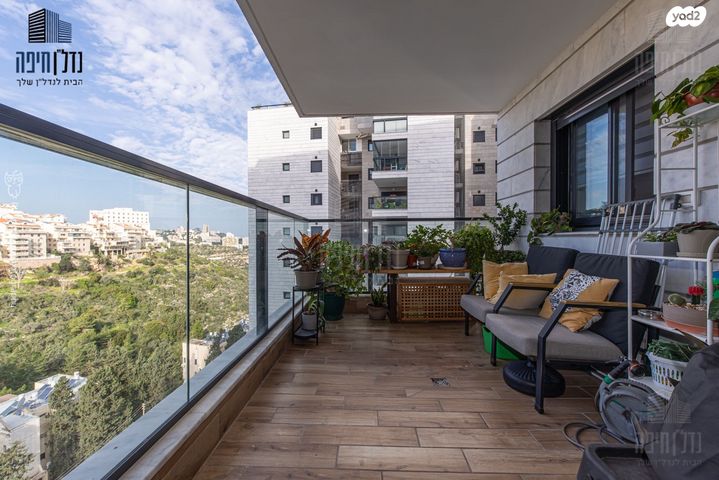 דירה, ברל כצנלסון, זיו, חיפה