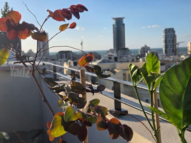 דירה להשכרה בתל אביב יפו (תיווך) — 3