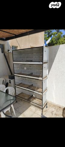 תמונת מודעה - חיות מחמד