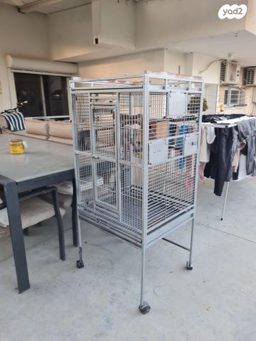 תמונת מודעה - חיות מחמד