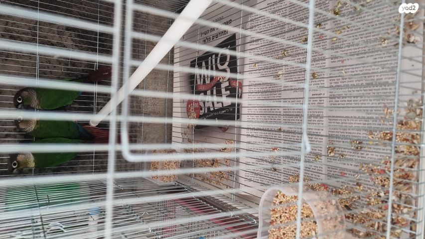 תמונת מודעה - חיות מחמד