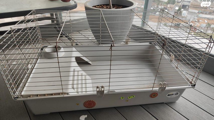 תמונת מודעה - חיות מחמד