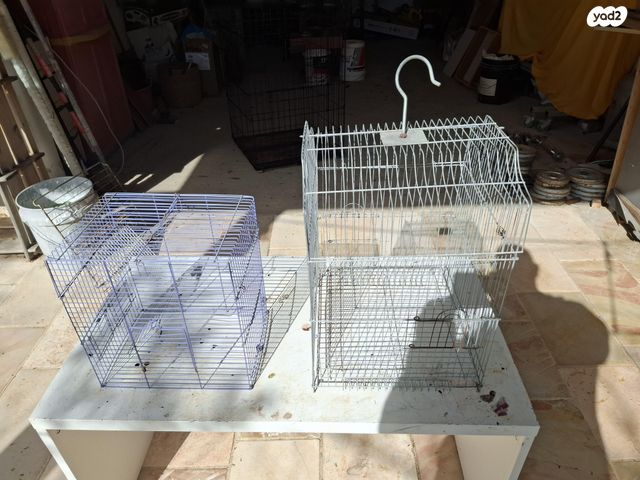 תמונת מודעה - חיות מחמד