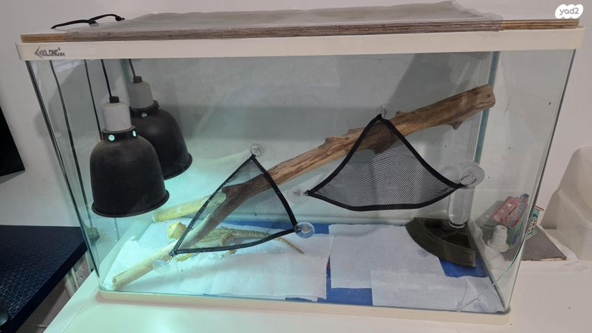 תמונת מודעה - חיות מחמד