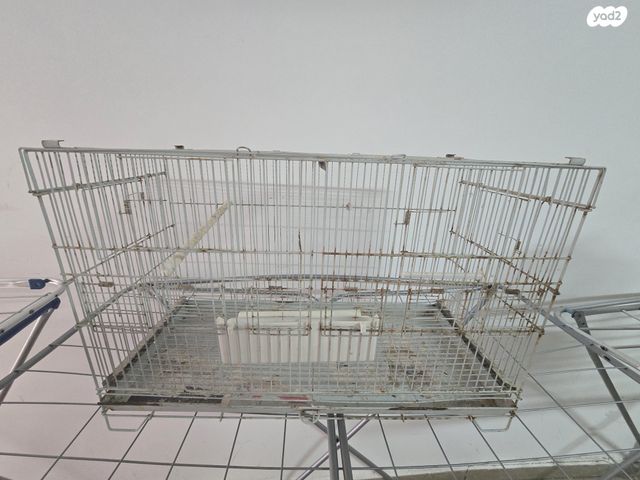 תמונת מודעה - חיות מחמד