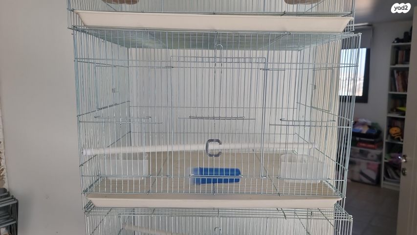 תמונת מודעה - חיות מחמד