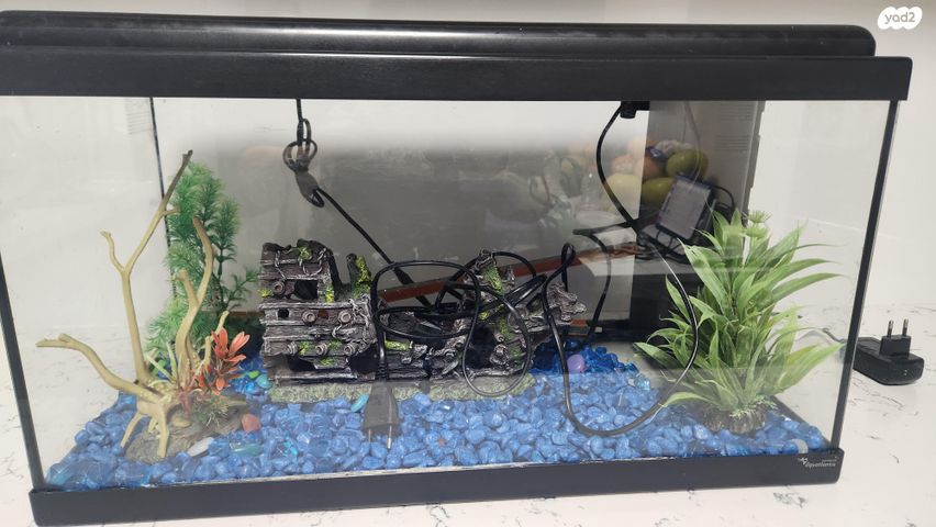 תמונת מודעה - חיות מחמד