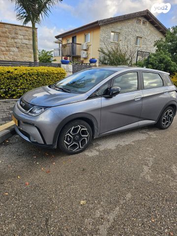 בי.ווי.די דולפין