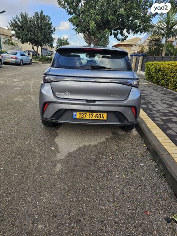 בי.ווי.די דולפין