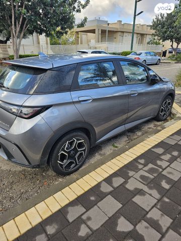 בי.ווי.די דולפין