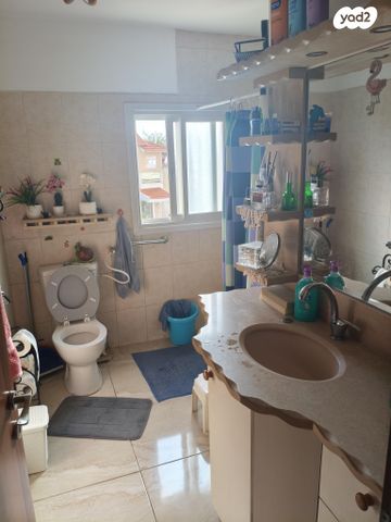 דירה, מלחמת ששת הימים 46, כהן, טירת כרמל