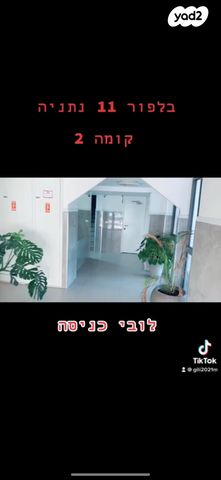 דירה, בלפור 11, פרדס הגדוד, נתניה