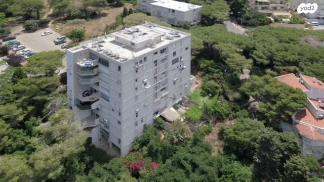 שדרות הצבי 42