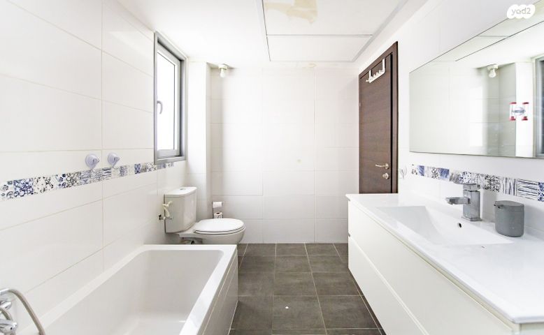 חיים הרצוג 21