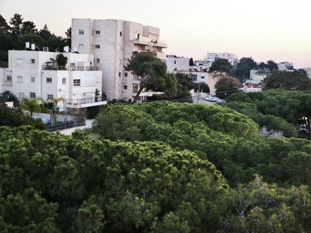 דירה, שדרות הצבי 42, כבירים, חיפה