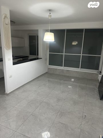 אריה שנקר 27